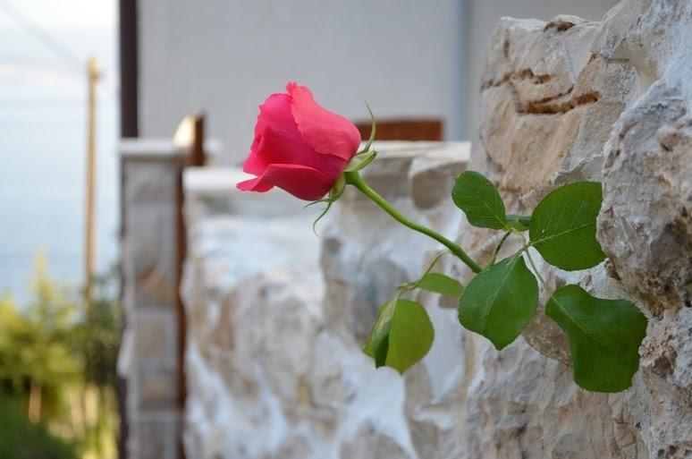 Holiday Villa in Omiš Habitación foto